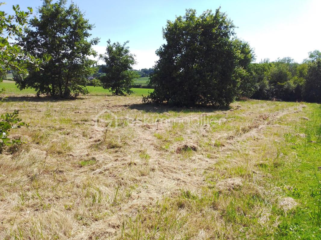 TERRAIN AVEC CU