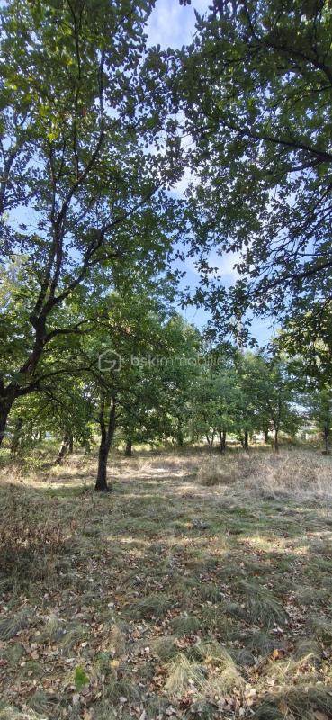 VENDS TERRAIN CONSTUCTIBLE DE 1408 M2 A SAINT-NAUPHARY