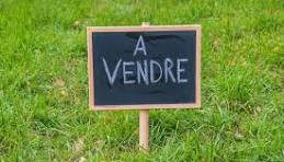 PAMPELONNE dans le village