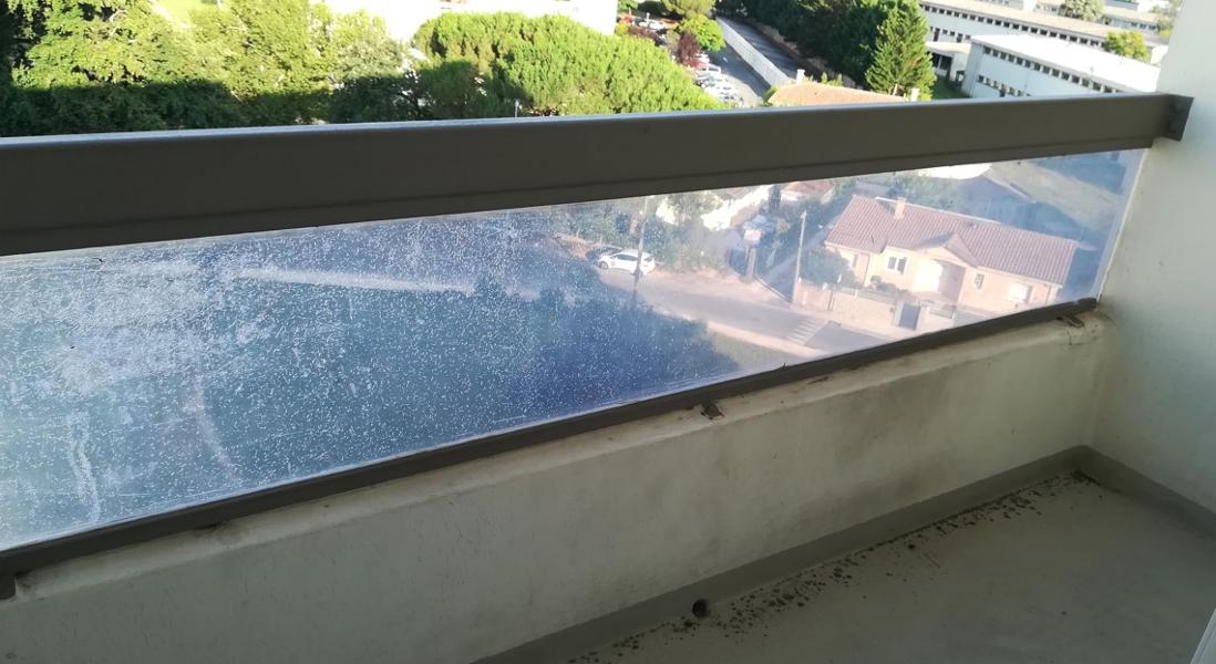 Appartement à louer, 1 pièces, 17 m², Gradignan