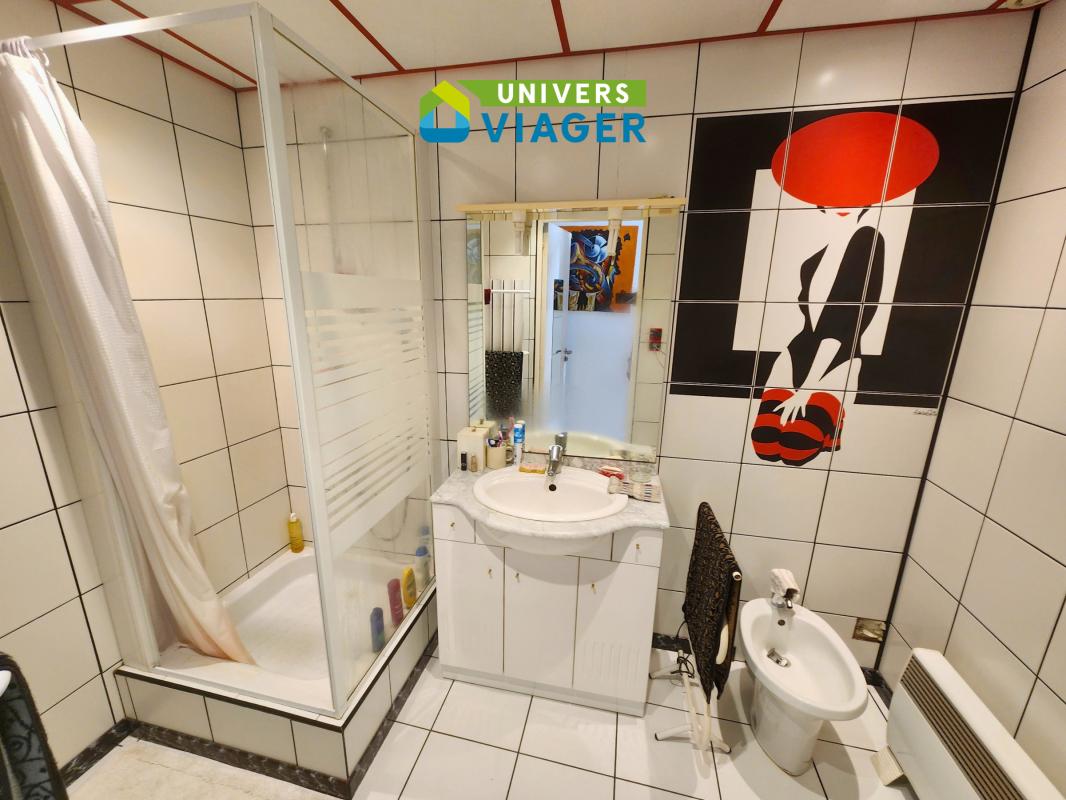 Maison en viager occupé à Alenya