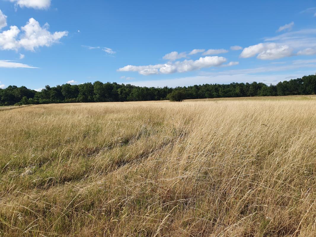 Terrain — Braud-et-Saint-Louis