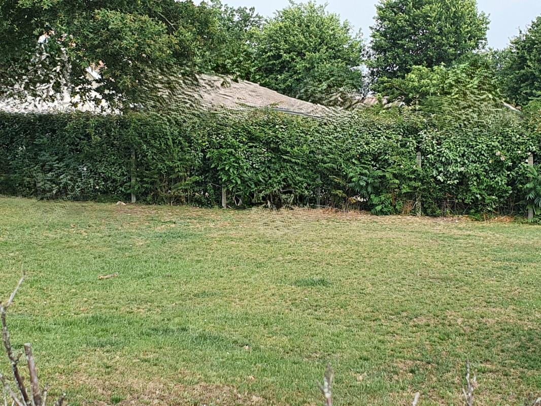 SANGUINET TERRAIN DE 470 M²