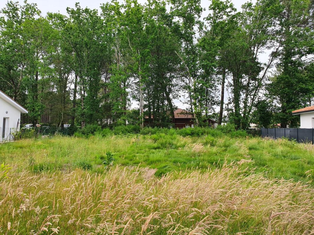 TERRAIN DE 602 M² A VENDRE A MAGESCQ