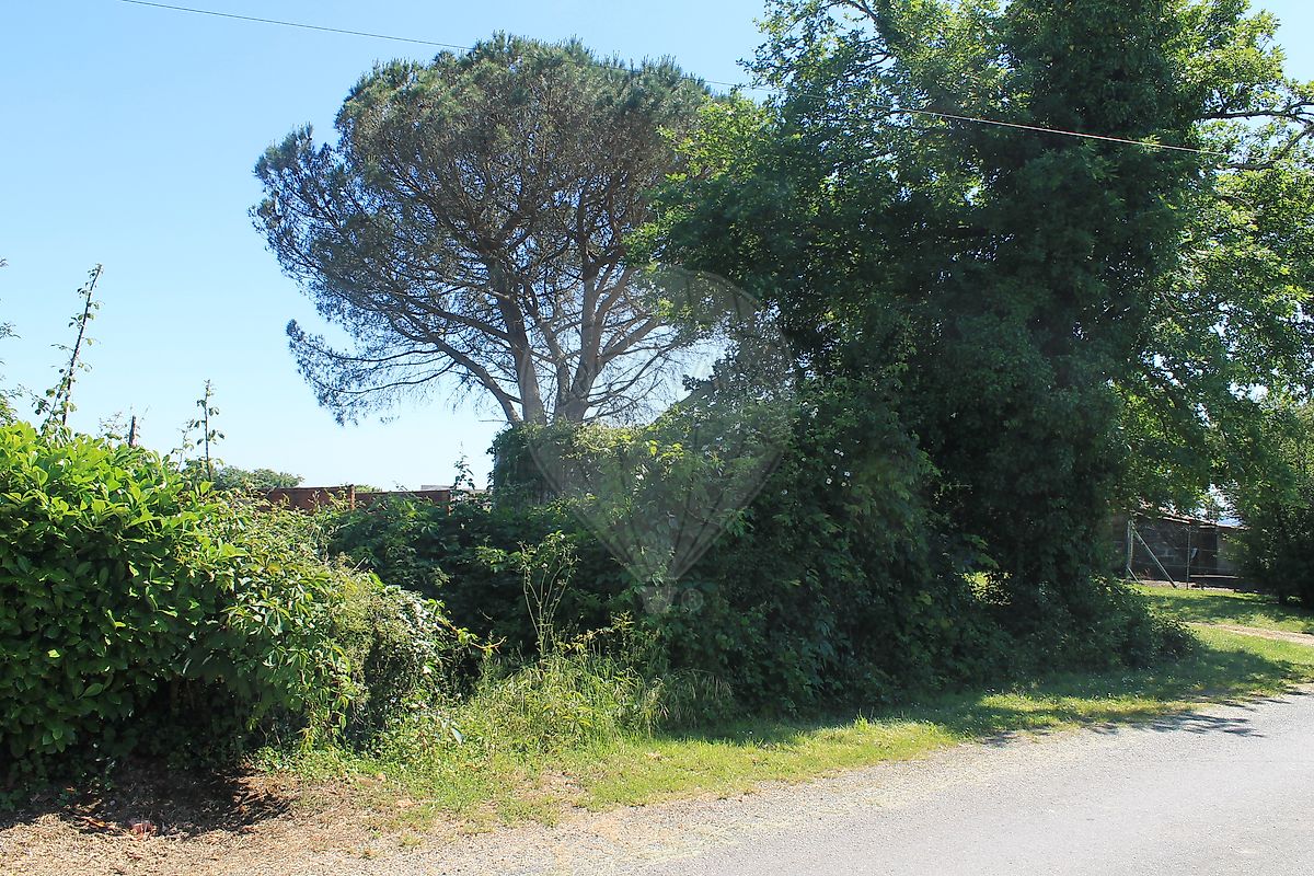Terrain  à vendre