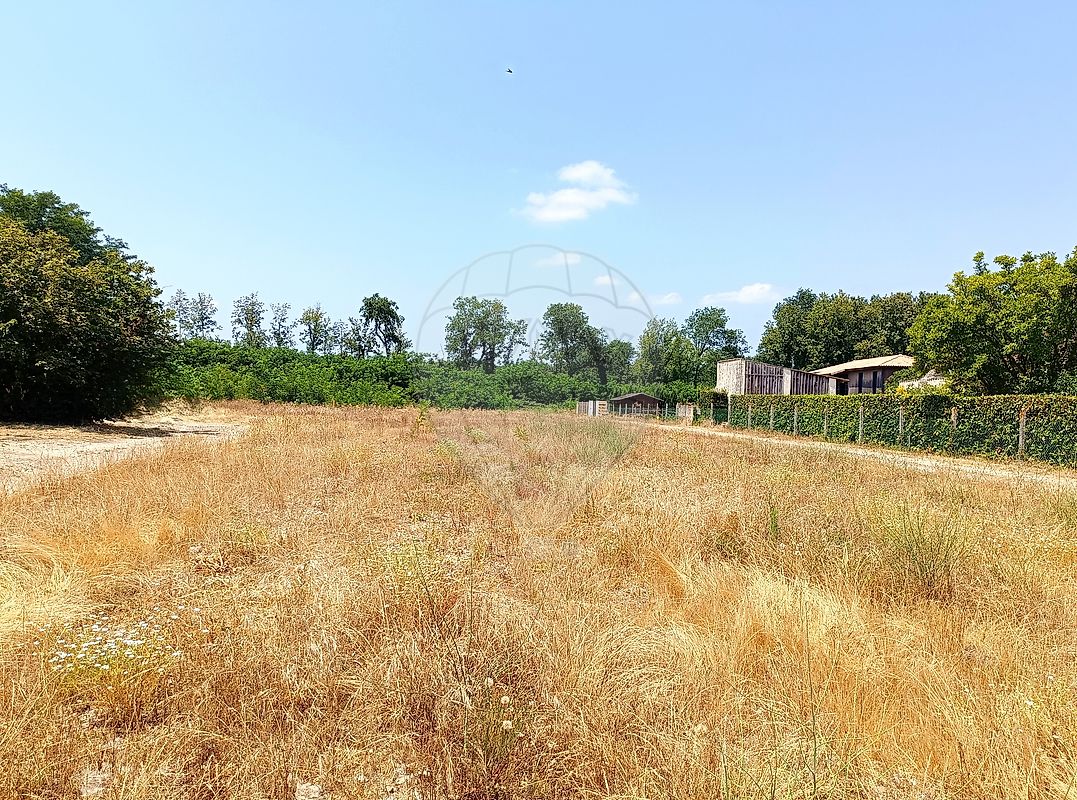 Terrain  à vendre