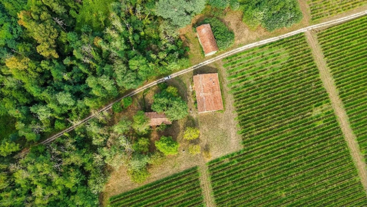 Maison pierre avec chai et terrain Langon