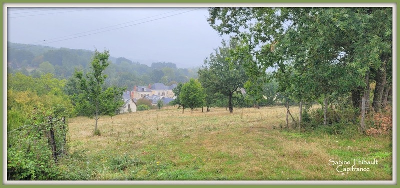 Dpt Sarthe (72), à vendre SAINT GERMAIN D'ARCE terrain agricole 5630 m2