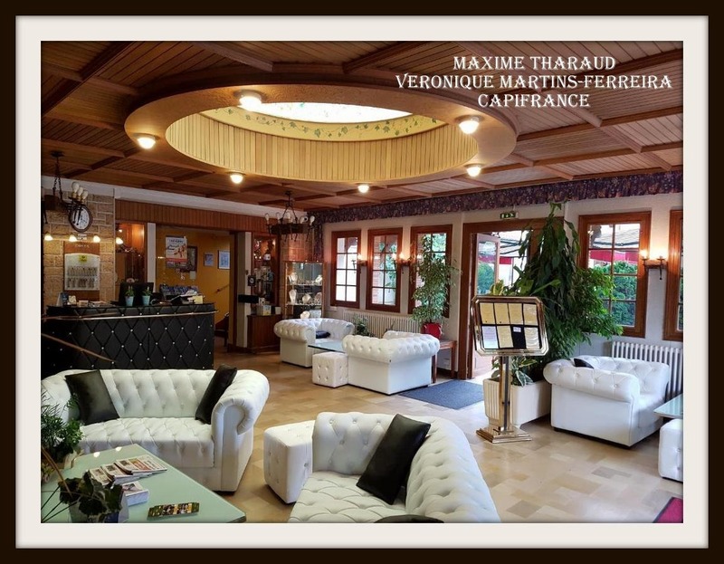 Image d'un à vendre cheverny loir et cher (41) hôtel - restaurant - bar à 636000€ à cheverny (41700)