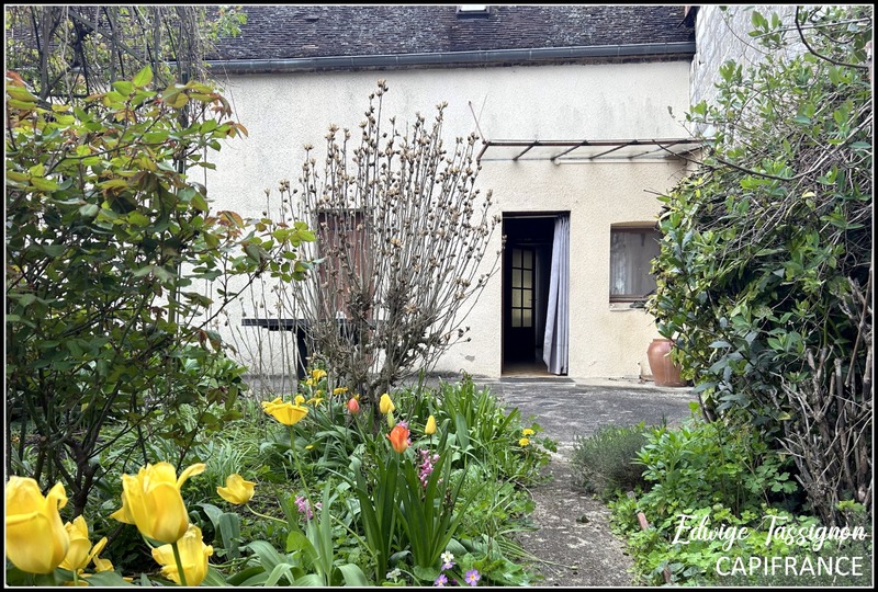 Villeneuve l'Archevêque (89), à vendre  maison P4  - Terrain de 410,00 m²