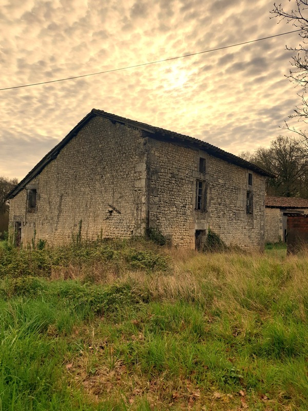 Dpt Charente (16), à vendre BLANZAC Corps de ferme à rénover, maison 79 m² , granges 384 m², écurie 42 m², Ter4923 m²