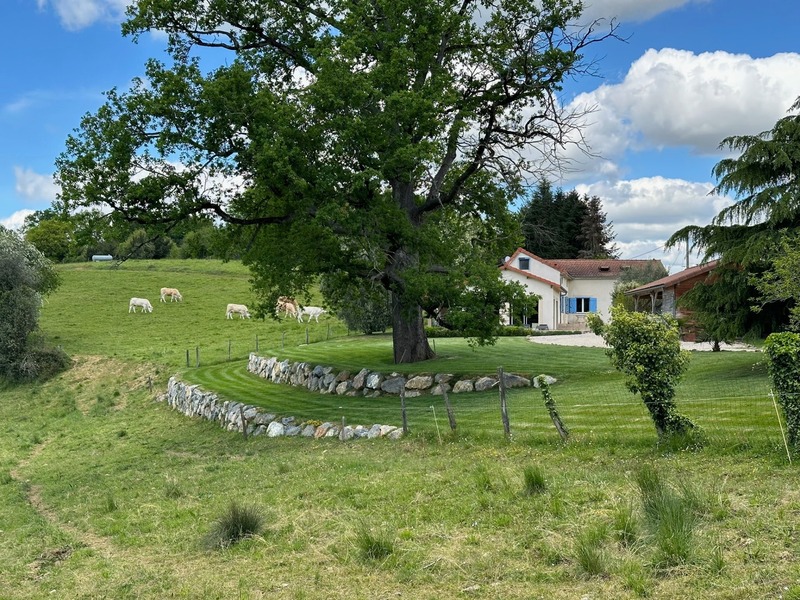 Dpt Hautes Pyrénées (65), à ve