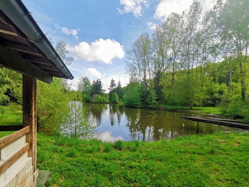 Dpt Sarthe (72), à vendre CONFLANS SUR ANILLE terrain avec étang - Terrain de 8 951,00 m²