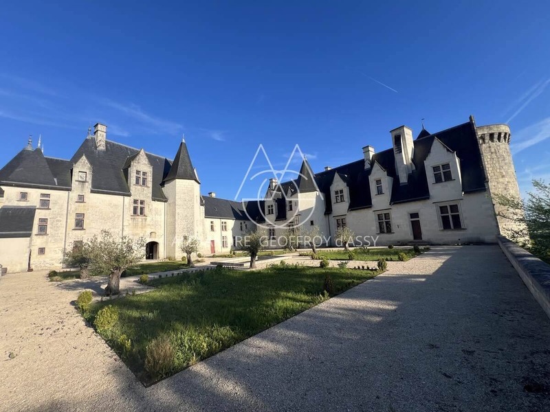 Image d'un château millénaire 16 pièces surplombant un village sur un parc de 15 ha à 4900000€ à saint-médard (36700)