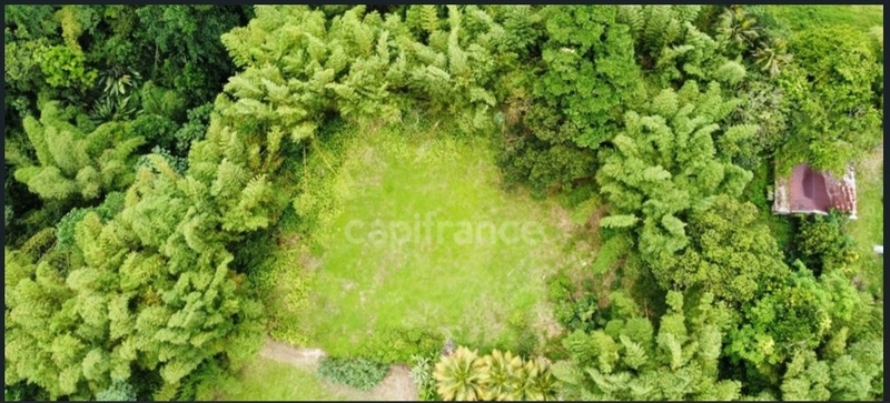 À Vendre – Grand terrain à bâtir de 6 130 m² à Ajoupa-Bouillon (Martinique)