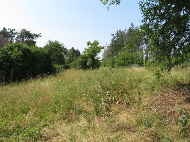 Indre (36), à vendre GUILLY terrain