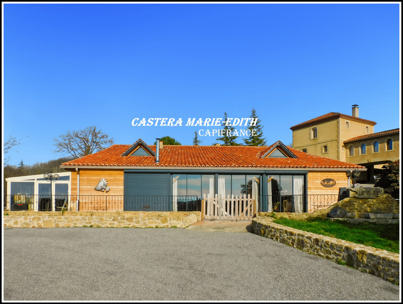 DOMAINE - HAMEAU - MANOIR AVEC TOURS + 2 MAISONS + LAC +33 pièces - MIRANDE à 7 MINUTES (32) Opportunité unique