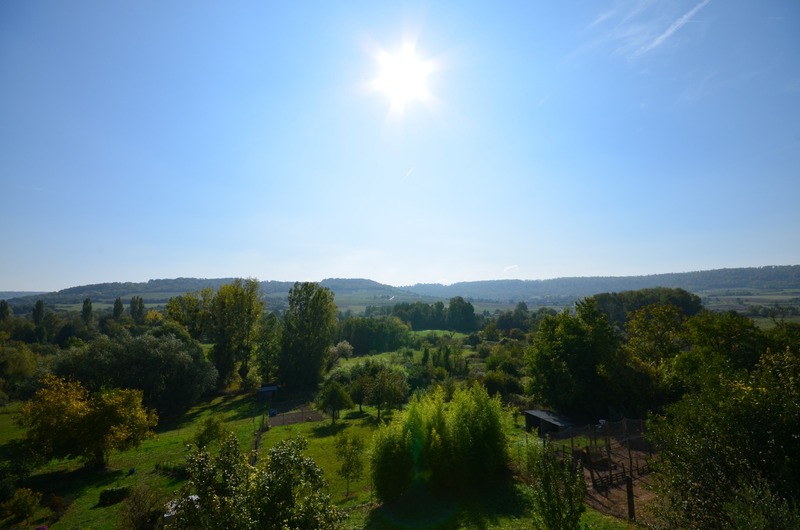 DORMANS (51), à vendre, très belle maison en pierre de 170 m² et sa dépendance