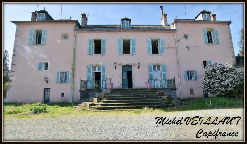 Propriété à vendre avec bâtisse de 15 pièces, 2 gîtes, terrain 7390 m², VILLENEUVE SUR ALLIER (03)