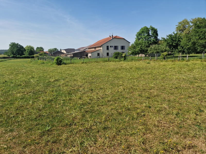 PROPRIÉTÉ à vendre 8 pièces proche NANCY (54) sur 1,8 HECTARE - PROPRIÉTÉ AGRICOLE avec FERME rénovée, DEPENDANCES, ECURIES, GRANGES