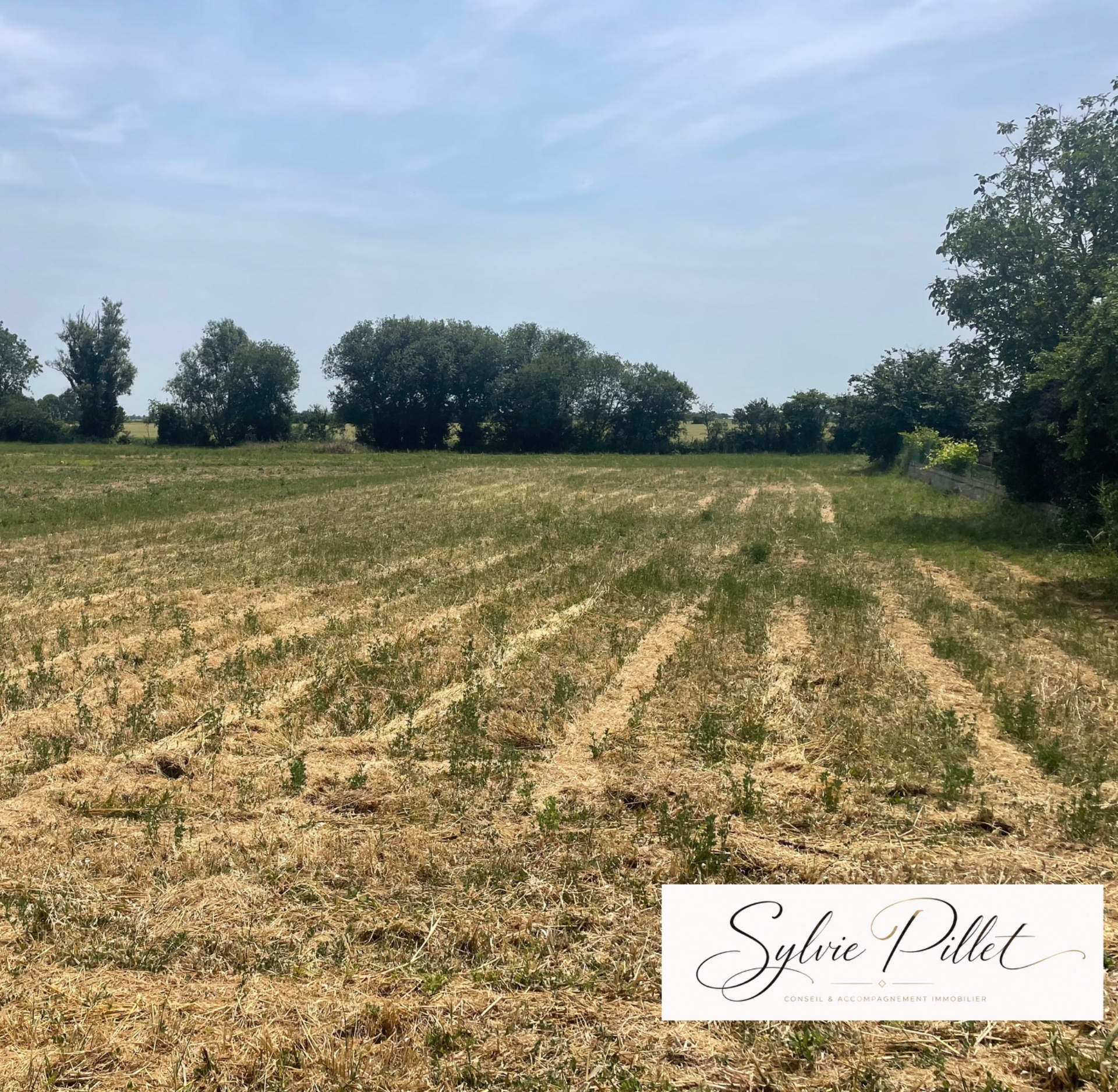 Terrain à vendre SAINTE RADEGONDE DES NOYERS (85)