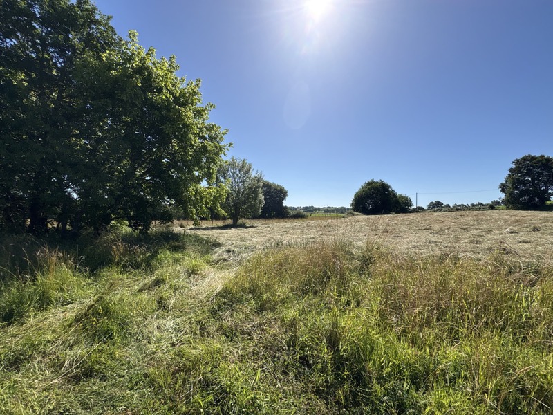 Proche Orthez (64) - Terrain constructible à vendre 1,4ha idéal promoteur ou lotisseur