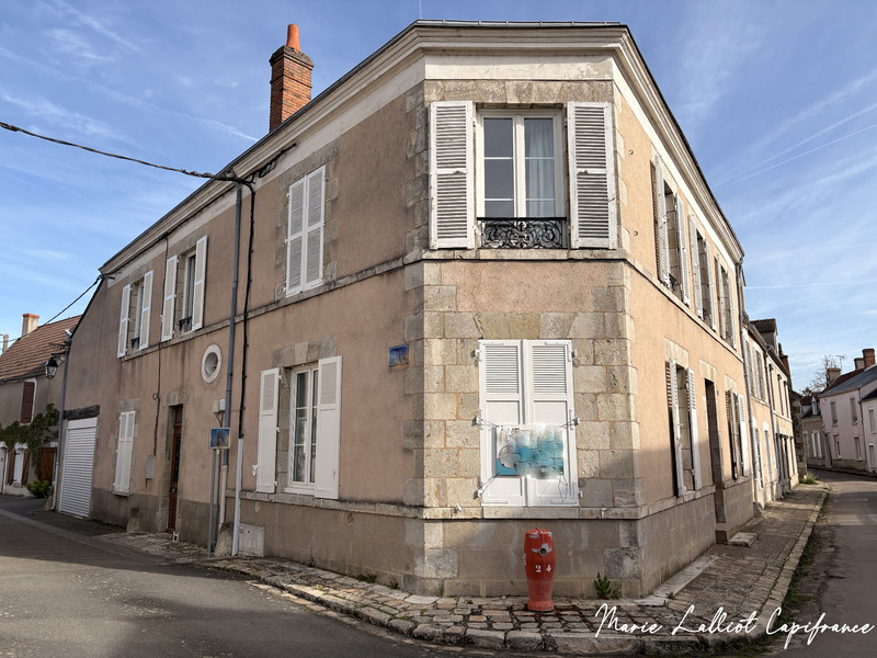 Ensemble de 2 Maisons à vendre BOYNES (45), Garage, 6 chambres, Cave, Idéal Investisseur ou partage familial