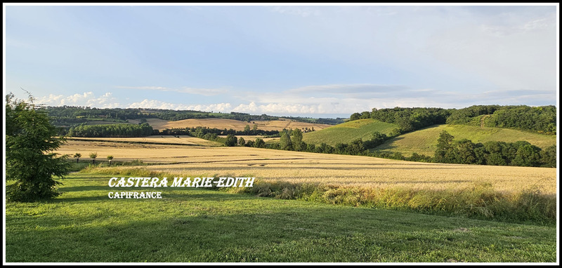 Dpt Gers (32), à vendre proche AUCH - propriété agricole - 145 Hectares avec LAC et 860 M² de bâtiments