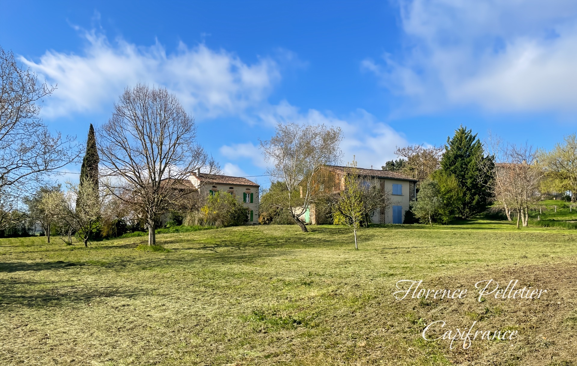 EXCEPTIONNEL : DEUX MAISONS INDÉPENDANTES + TERRAIN ARBORÉ DE 5 600 M² – SUD TARN – PRIX RARE !