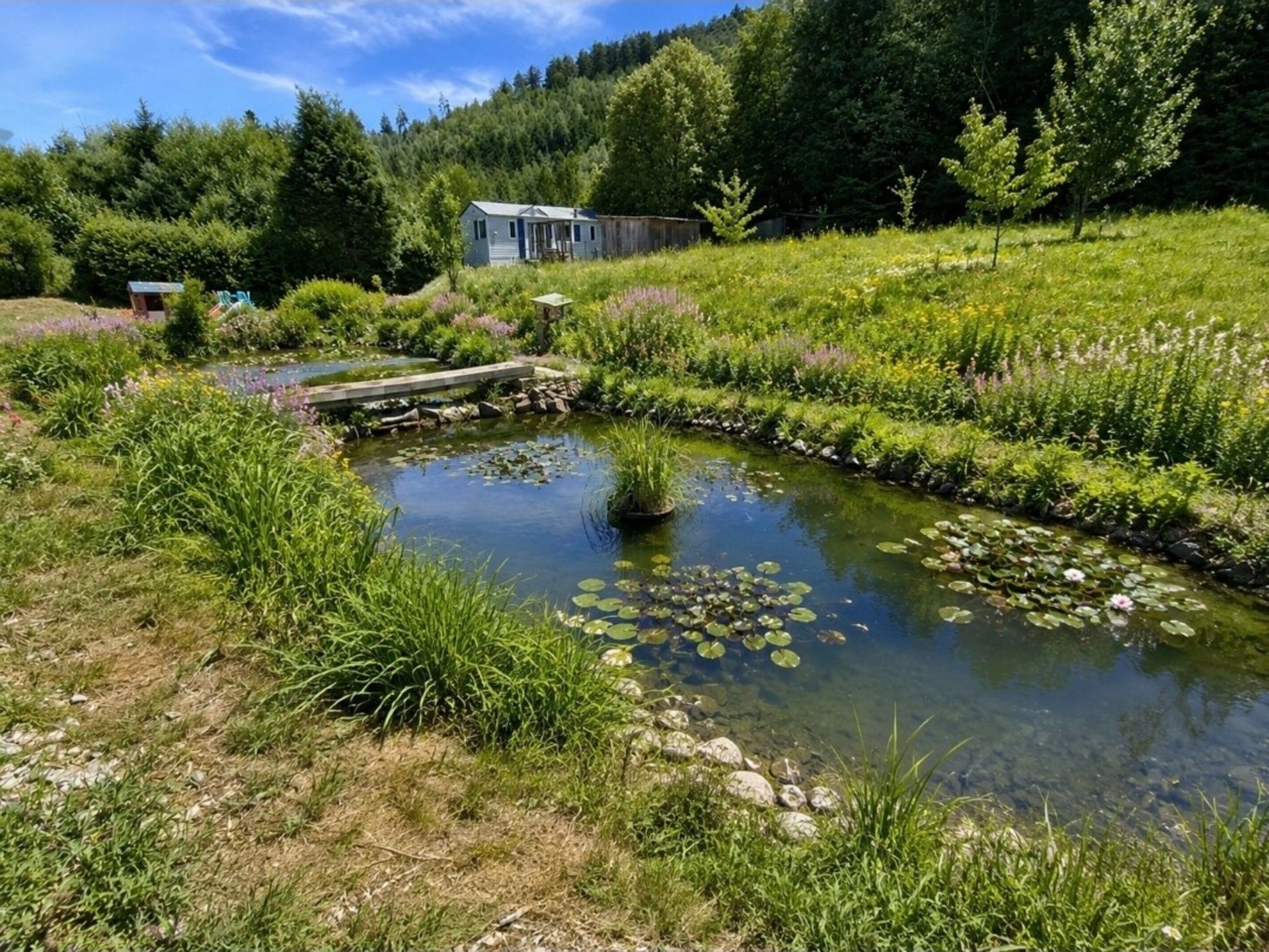 MAISON T5 à vendre 5 pièces banlieue EPINAL (88) avec PISCINE, GARAGE, mare sur 2600 m2 TERRAIN