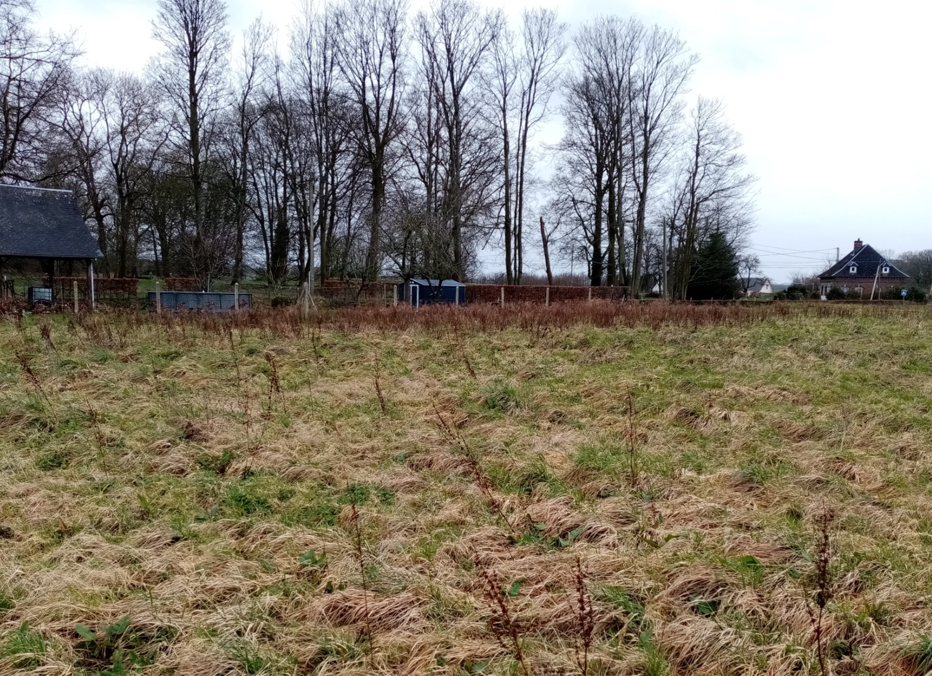 Dpt Seine Maritime (76), à vendre TERRES DE CAUX terrain