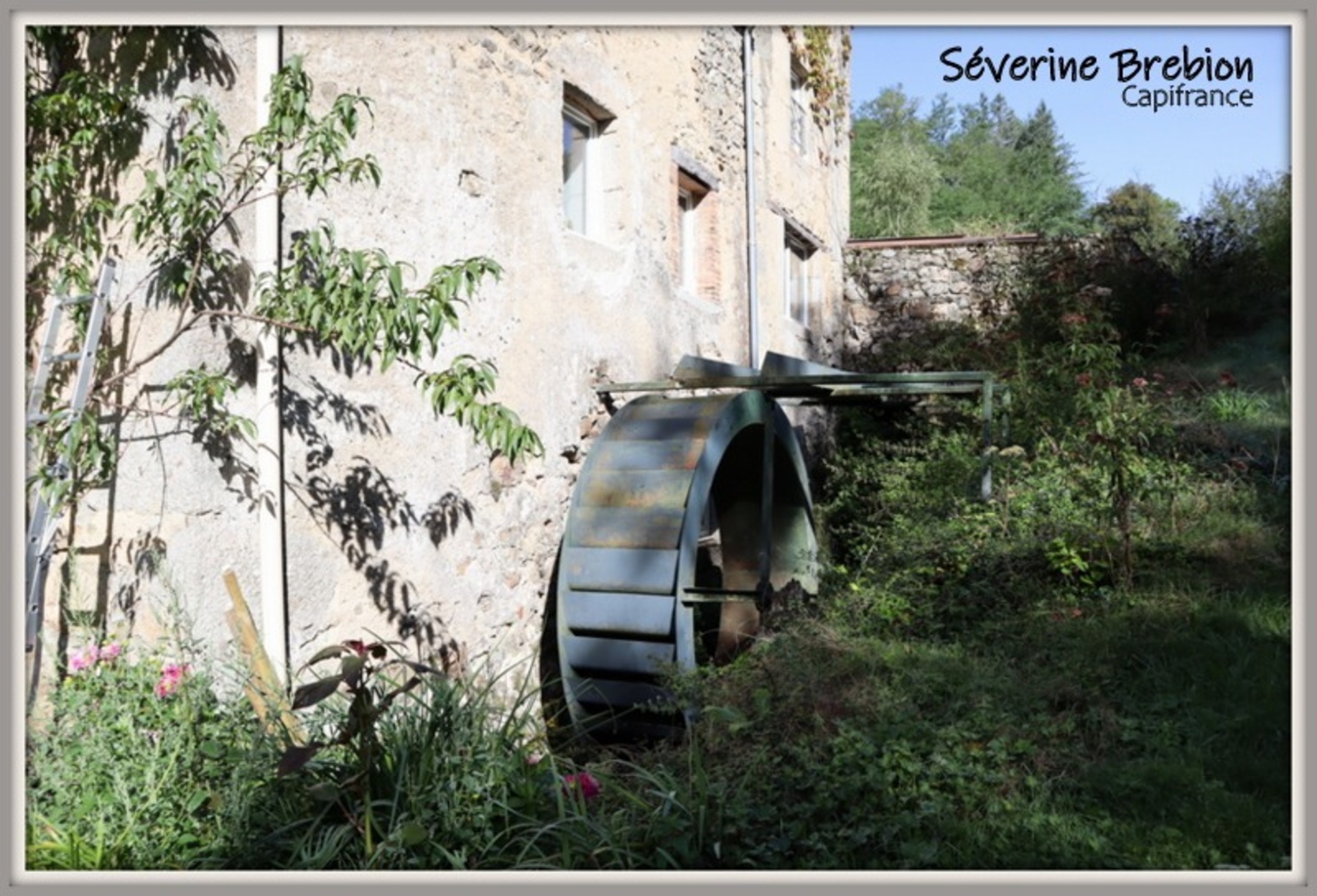 Maison rénovée en pierre de 166 m², 4 chambres, vaste séjour, dépendance, assainissement OK, avec ancien moulin et terrain de 1,8 hectare à Saint-Rémy-sur-Durolle