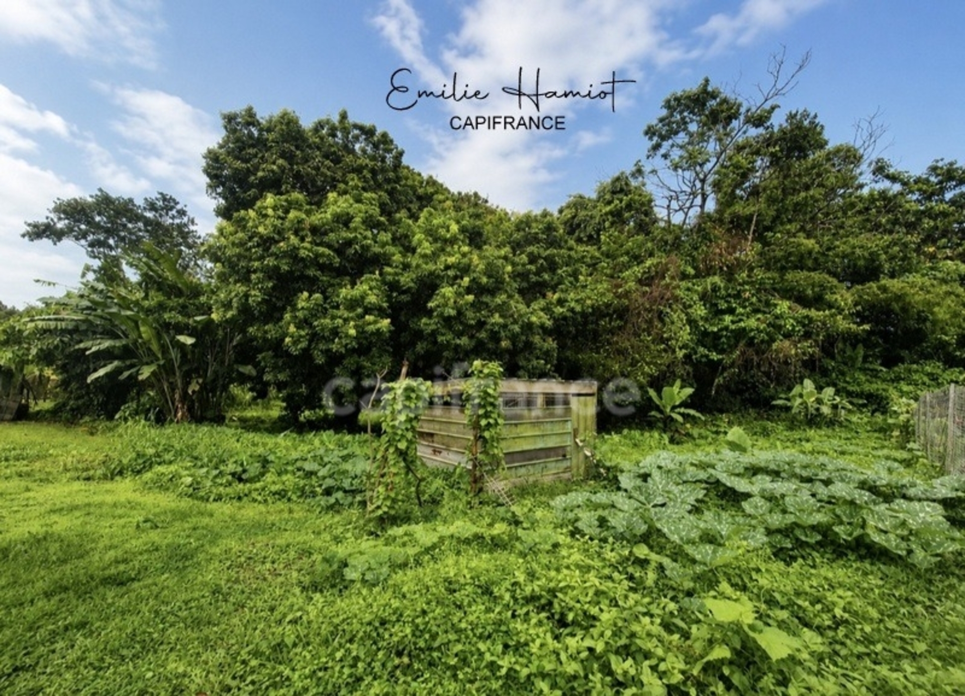 A vendre - Terrain plat de 729 m² – Ajoupa-Bouillon – Secteur Adinet
