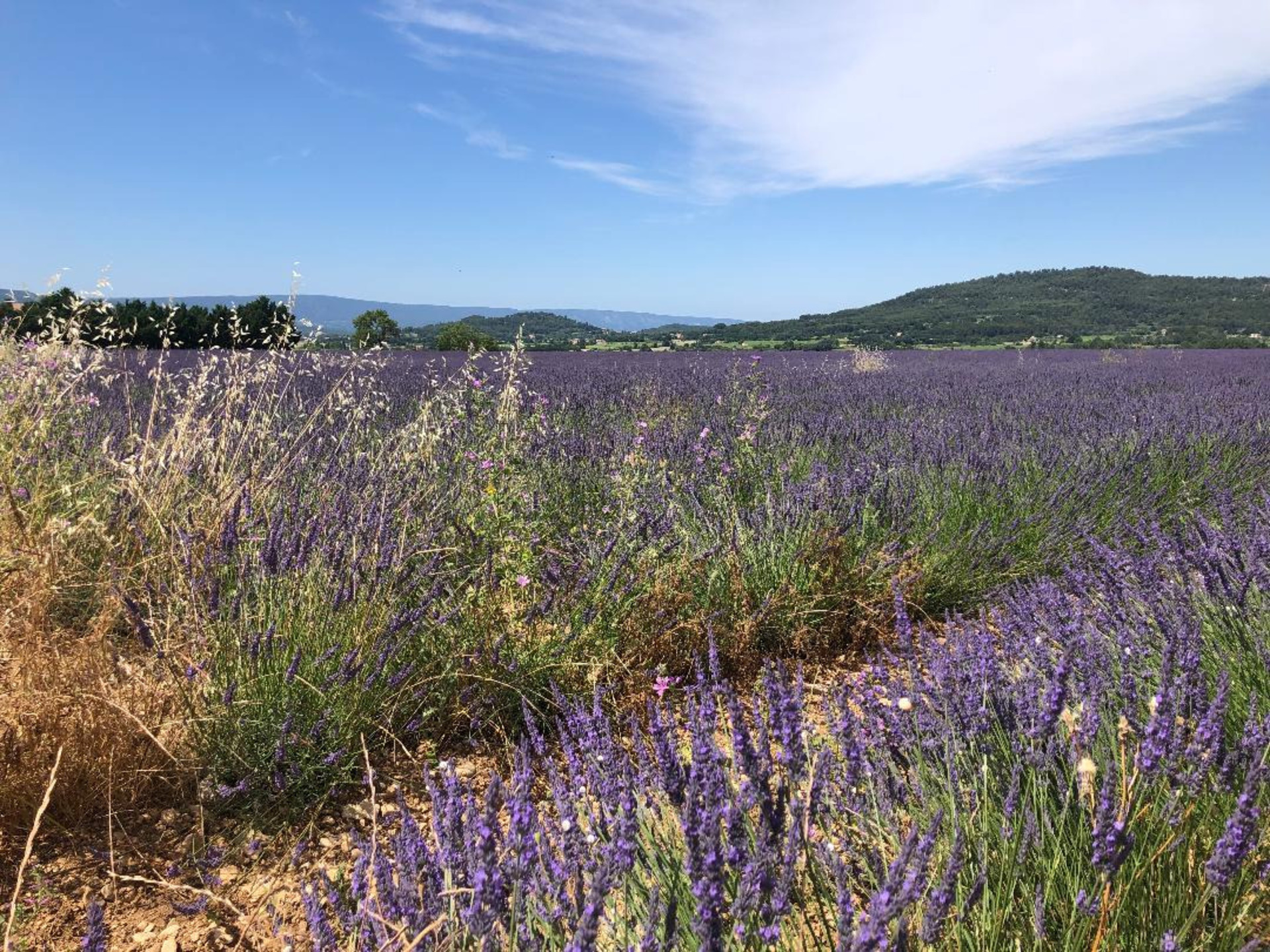 Habiter face au Colorado Provençal, une réalité