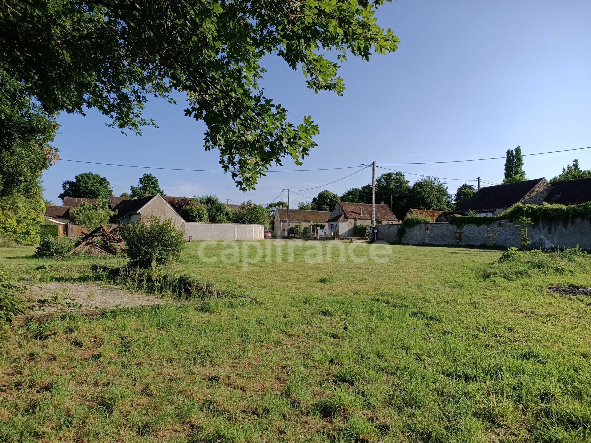 Terrain à vendre NOE (89)