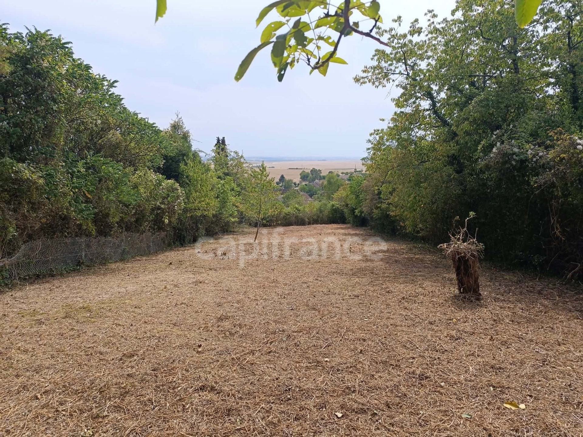 Terrain à vendre de 1 530,00 m² BELLECHAUME (89)