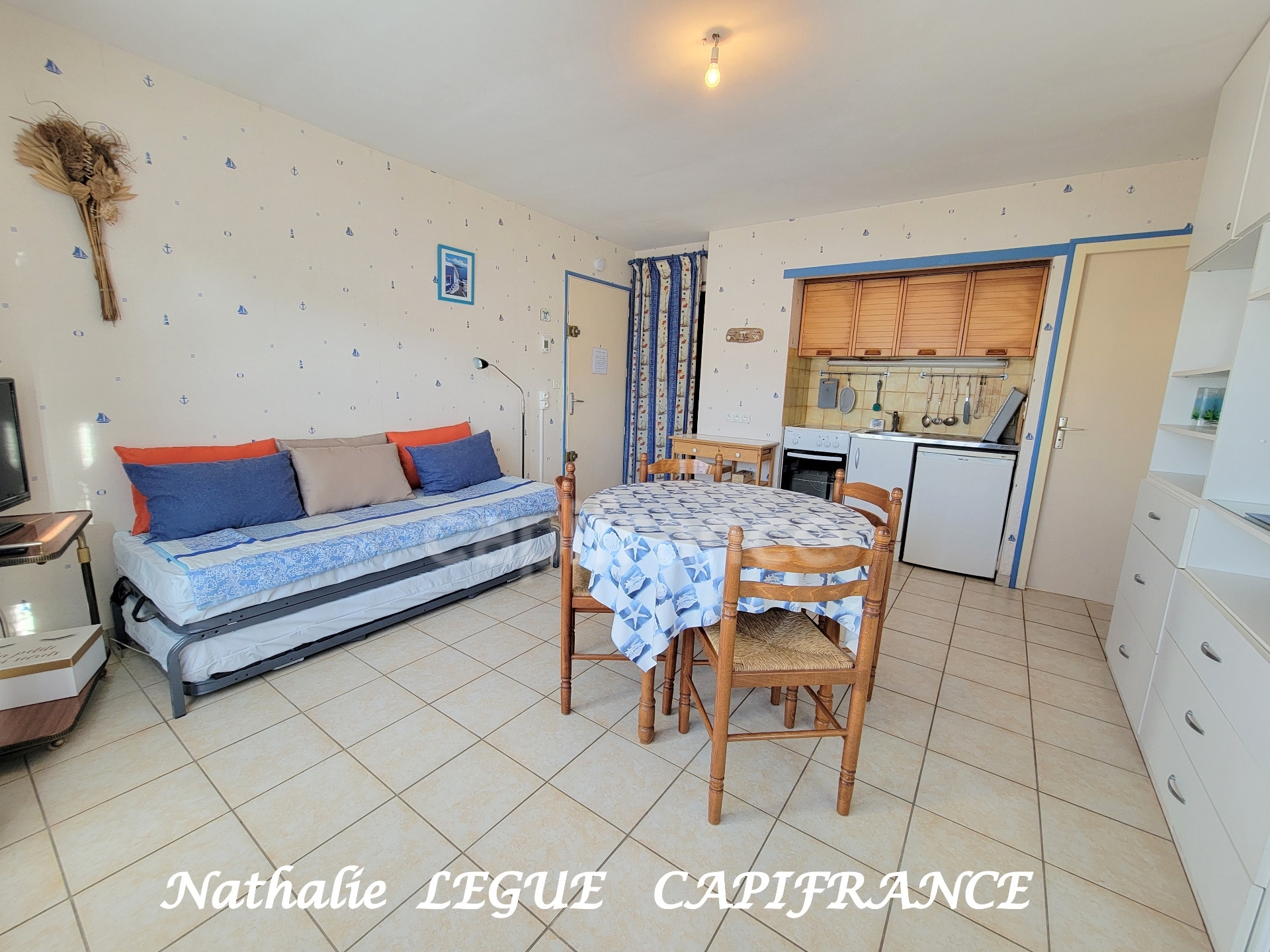 Vendée ( 85 ) FROMENTINE à vendre STUDIO meublé 1 pièce , cabine de couchage 24 m² 94 , cave , place parking privative MER ,PLAGES NOIRMOUTIER , embarcadère pour ILE D' YEU