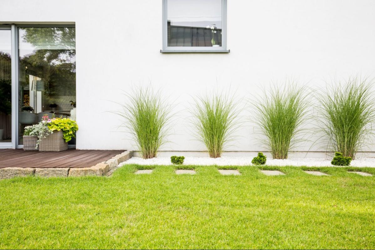 Maison à vendre, 3 pièces, 63 m², Lacanau