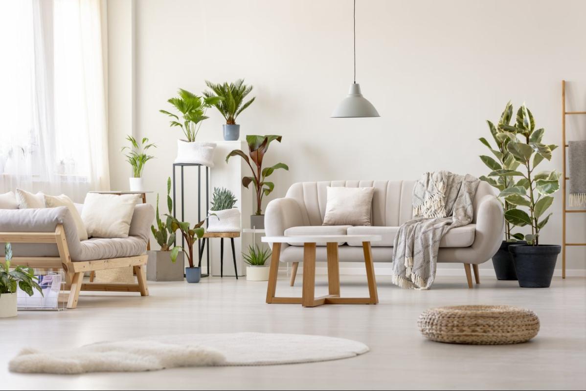 Appartement T3 de 67m² à Béziers - Photo 2