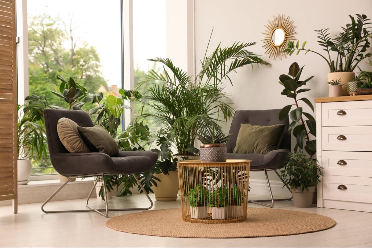 Appartement à vendre, 3 pièces, 62 m², Biarritz