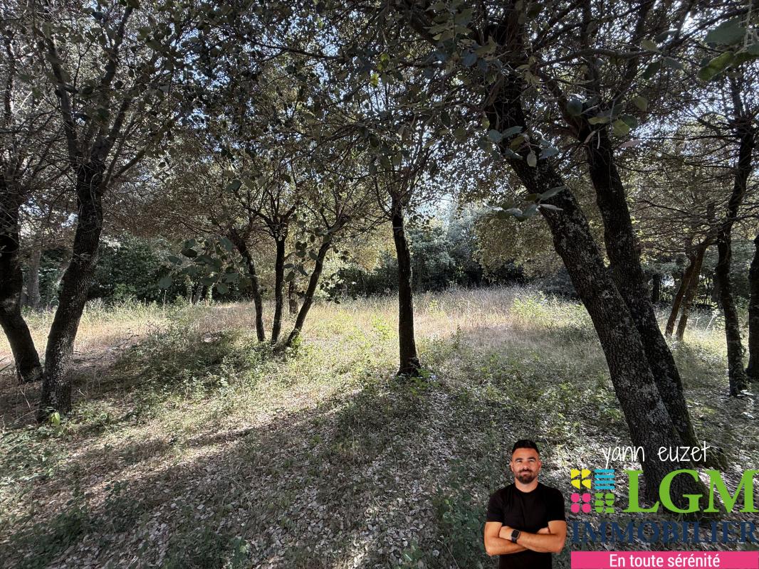 Terrain plat viabilisée