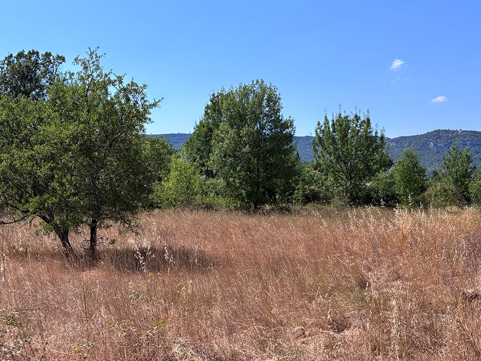 Terrain - 425