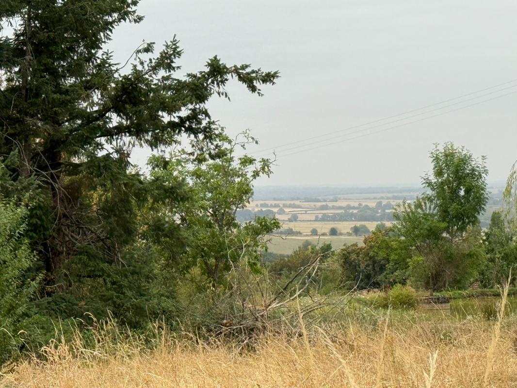 Terrain à bâtir avec vue dégagée