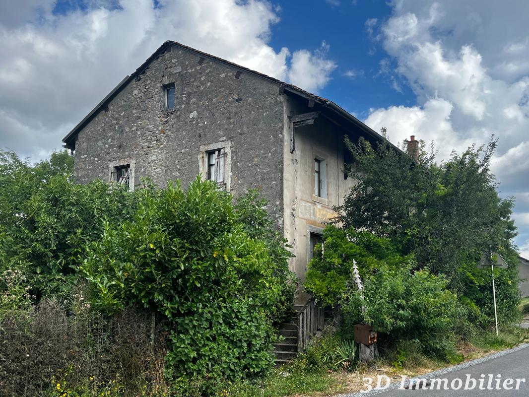 Secteur Ballaison (74140), vue magnifique sur le lac Léman, venez découvrir ce corps de ferme d’une surface de 260 m² édifié sur trois niveaux, entièrement à réhabiliter ou à démolir et reconstruire - Photo 3