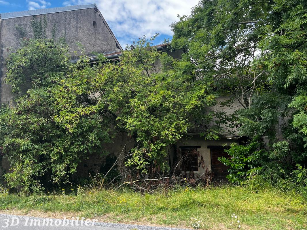Secteur Ballaison (74140), vue magnifique sur le lac Léman, venez découvrir ce corps de ferme d’une surface de 260 m² édifié sur trois niveaux, entièrement à réhabiliter ou à démolir et reconstruire - Photo 5