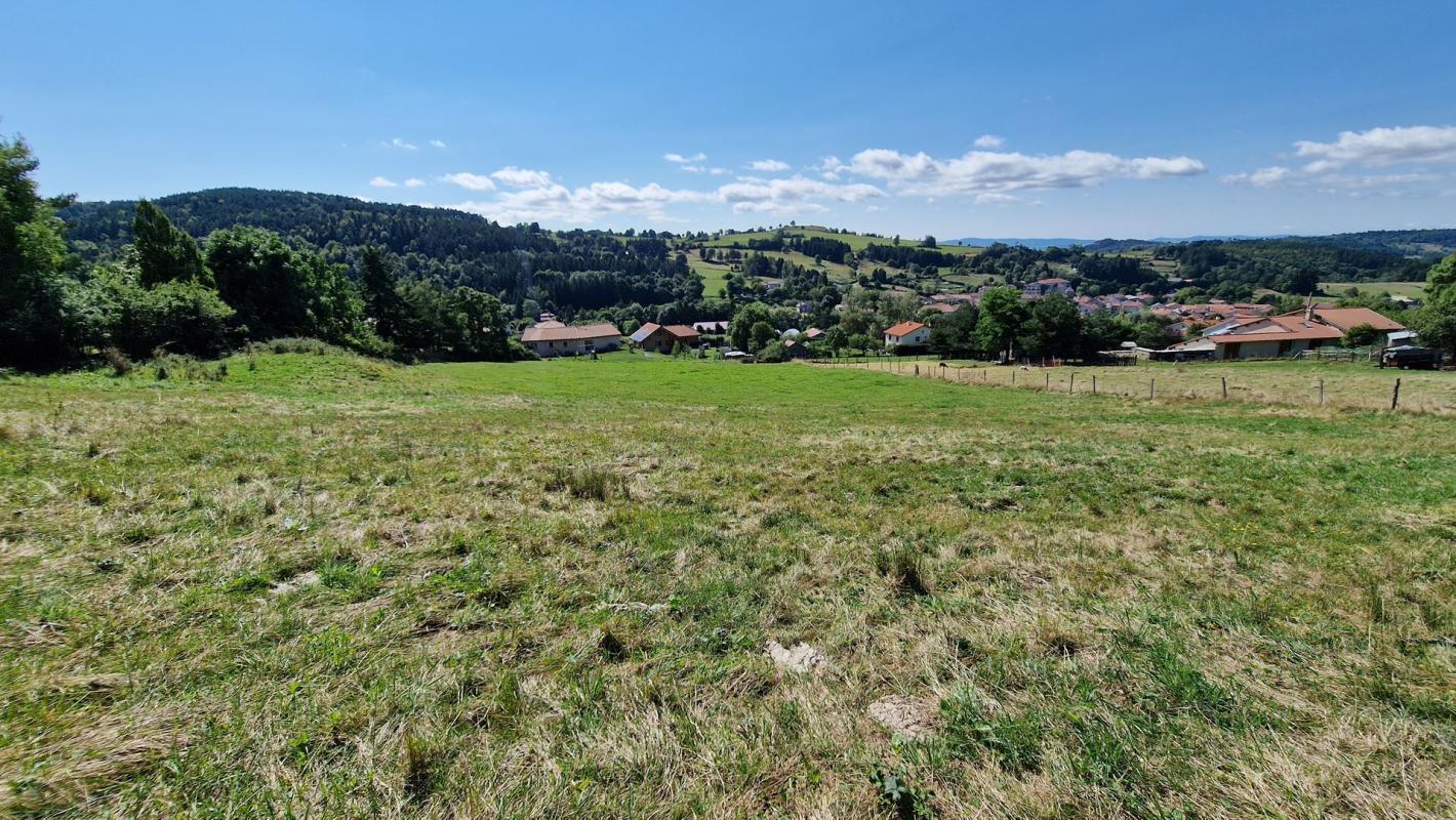Terrain - 9300m ²