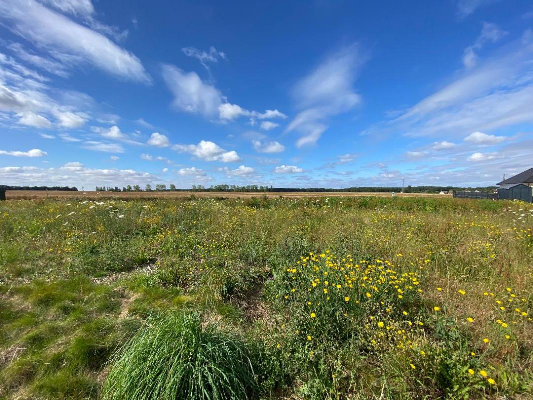 terrain de 900m2 en vente à Reuilly (27930)