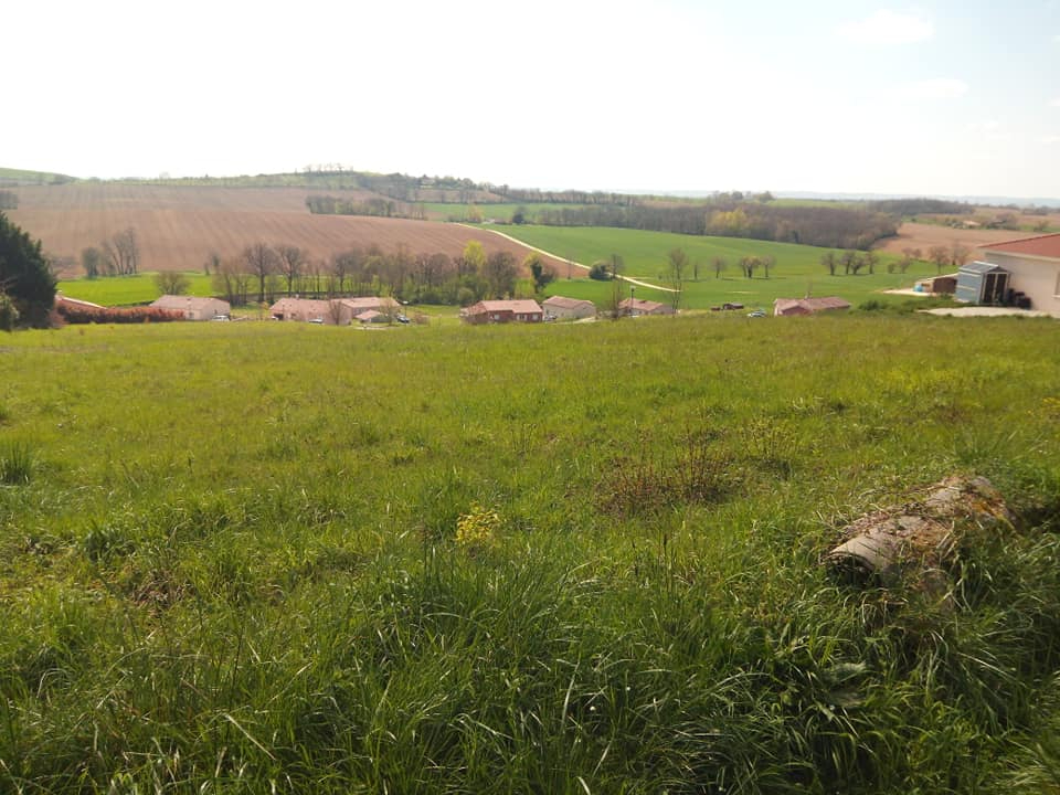 terrain à vendre en vente à Puycasquier