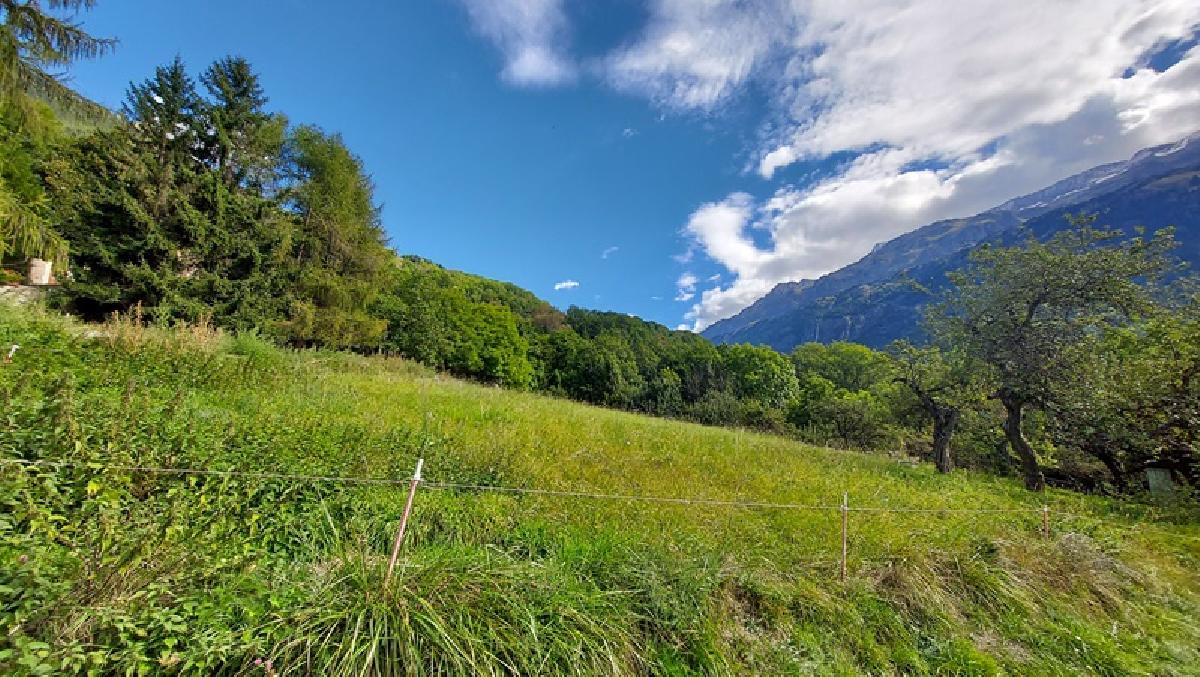 terrain à batir de 2800m2 à Vaujany