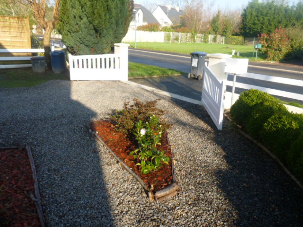 Photo 4